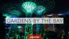 Gardens By The Bay – Singapore