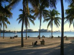 Miami Nights: To/From South Beach from Chicago, Houston, NYC, Toronto, And More from $113