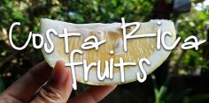 Yummy and Exotic Costa Rican Fruit You Have to Try