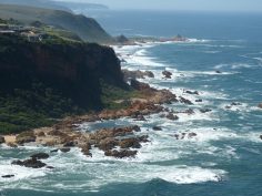 The Best Adventures Along South Africa’s Garden Route