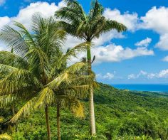 Caribbean castaways – a brief guide to 5 authentic islands