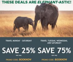 Frontier Flash Sale for Flash Flights From $19
