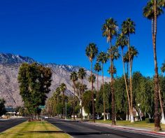 Where to play, stay and chill in Greater Palm Springs this Summer