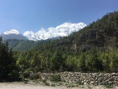 7 Best Treks in Nepal: Options for Every Skill Level