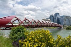 8 Awesome Things to Do in Calgary, Alberta in Summer