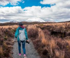 5 of our favourite short, easy walks in New Zealand