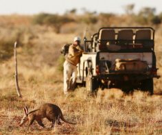 6 reasons why you must add the Kalahari to your safari