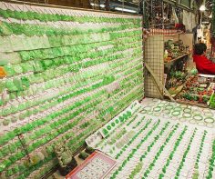 Myanmar jade market – A Luxury Travel Blog : A Luxury Travel Blog