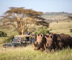 Africa’s top 5 places to spot rhino