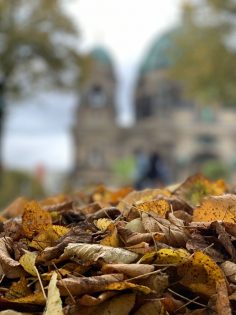 Photos from Early Autumn in Berlin