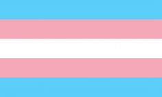NYC Local Trans Rights Organizations to Support