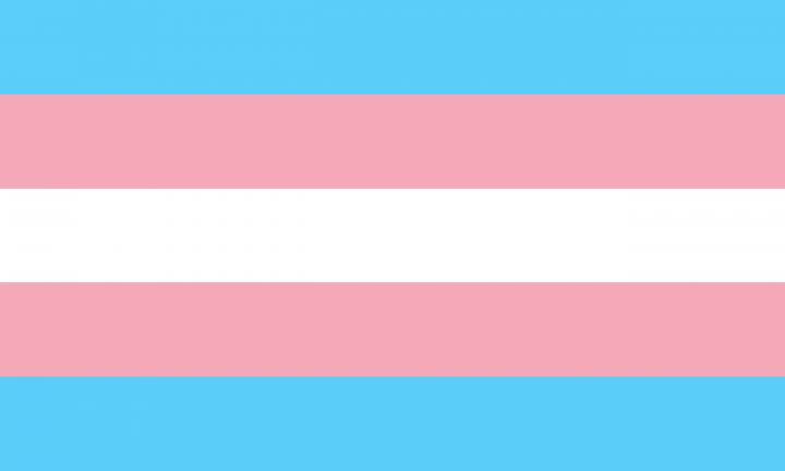 NYC Local Trans Rights Organizations to Support