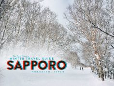 The First-Timer’s Winter Travel Guide to Sapporo in Hokkaido, Japan
