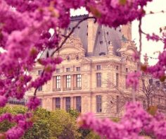 Best plans for Paris in the Spring