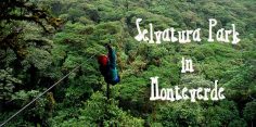 Selvatura Park in Monteverde – Flying Over the Cloud Forest