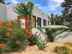 Where to Stay in Scottsdale, Arizona Based on Your Travel Style