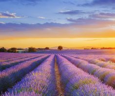 Health and wellbeing in Provence – looking to the future