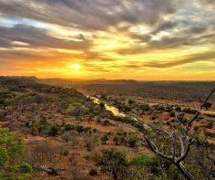 Photograph of the week: Kruger sunset