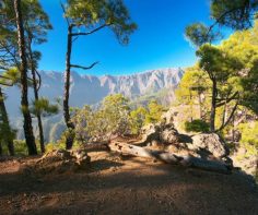 Future travel inspiration: the unspoiled Spanish island of La Palma
