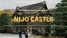 The Palaces, Gates & Gardens of Nijo Castle – Kyoto