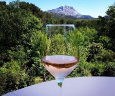 Discover the 5 best wines in Provence