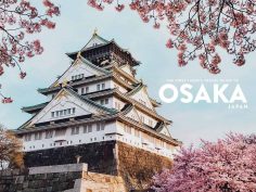 The First-Timer’s Guide to Osaka (2020)