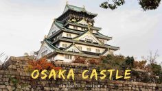 Osaka Castle – Its Sights, History & The Best Walking Route