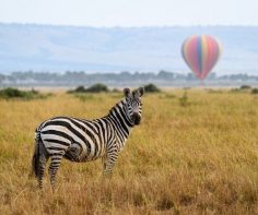 5 classic two-centre African adventures