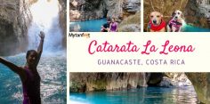 Catarata La Leona: Adventurous Waterfall Hike in Curubande