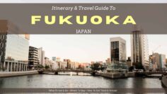 What To Do In Fukuoka – A 1-Day Fukuoka Itinerary