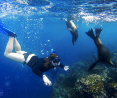 10 Galapagos islands awaiting adventurous travelers