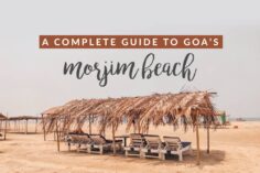 A Guide to Morjim Beach in North Goa