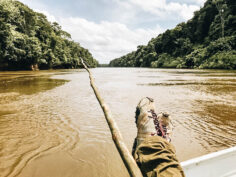 A Guide to Piranha Fishing (& Eating) in the South American Rainforest