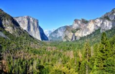 11 Awesome Things to Do in Yosemite National Park