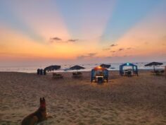 Goa Beaches Explained – Which Beach is Best For You?
