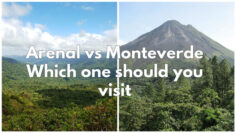 Should I Go To Monteverde Or Arenal? A Detailed Comparison of the Two Destinations