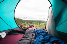 Goose Down or Synthetic Sleeping Bag – What’s Better?