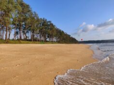 Galgibaga: A Guide to the Most Peaceful Beach in Goa