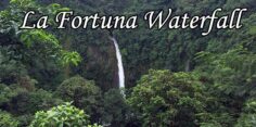 Hike 400 Plus Steps to See the Beautiful La Fortuna Waterfall in Arenal