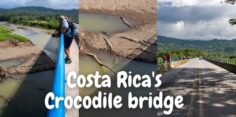The Costa Rica Crocodile Bridge: the Famous Tarcoles River