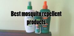 Mosquitoes in Costa Rica: Information about Diseases, Recommended Products and More