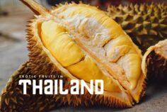 Thai Fruits: 20 Delicious and Exotic Fruits in Thailand