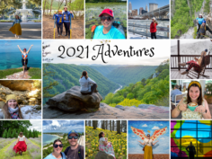 Year in Review: My Top Travel (and Non-Travel) Highlights of 2021
