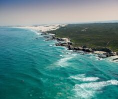 Why De Hoop Nature Reserve, near Cape Town, should be on your radar