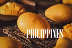Filipino Fruits: 30 of the Most Delicious Fruits in the Philippines
