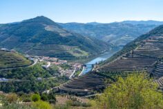 Is Taking a Douro Valley Day Tour from Porto Worth It?