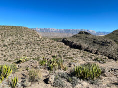 Hiking the Hot Springs Canyon Trail in Big Bend National Park