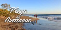 Playa Avellanas: Surf, Drink, Sunset