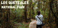 Los Quetzales National Park: The Lesser Visited Cloud Forest Park