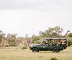 What makes a Kenyan safari a sustainable travel option?